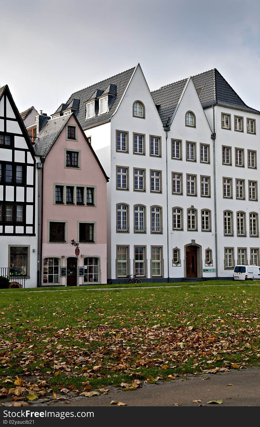 European style buildings with grass and dry leaves. European style buildings with grass and dry leaves