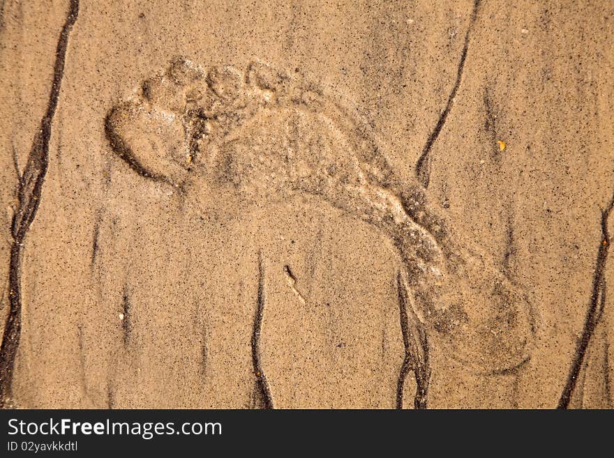 Artistic foot print in the sand