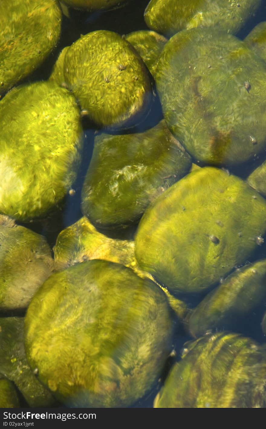 Close up of rocks in water. Close up of rocks in water