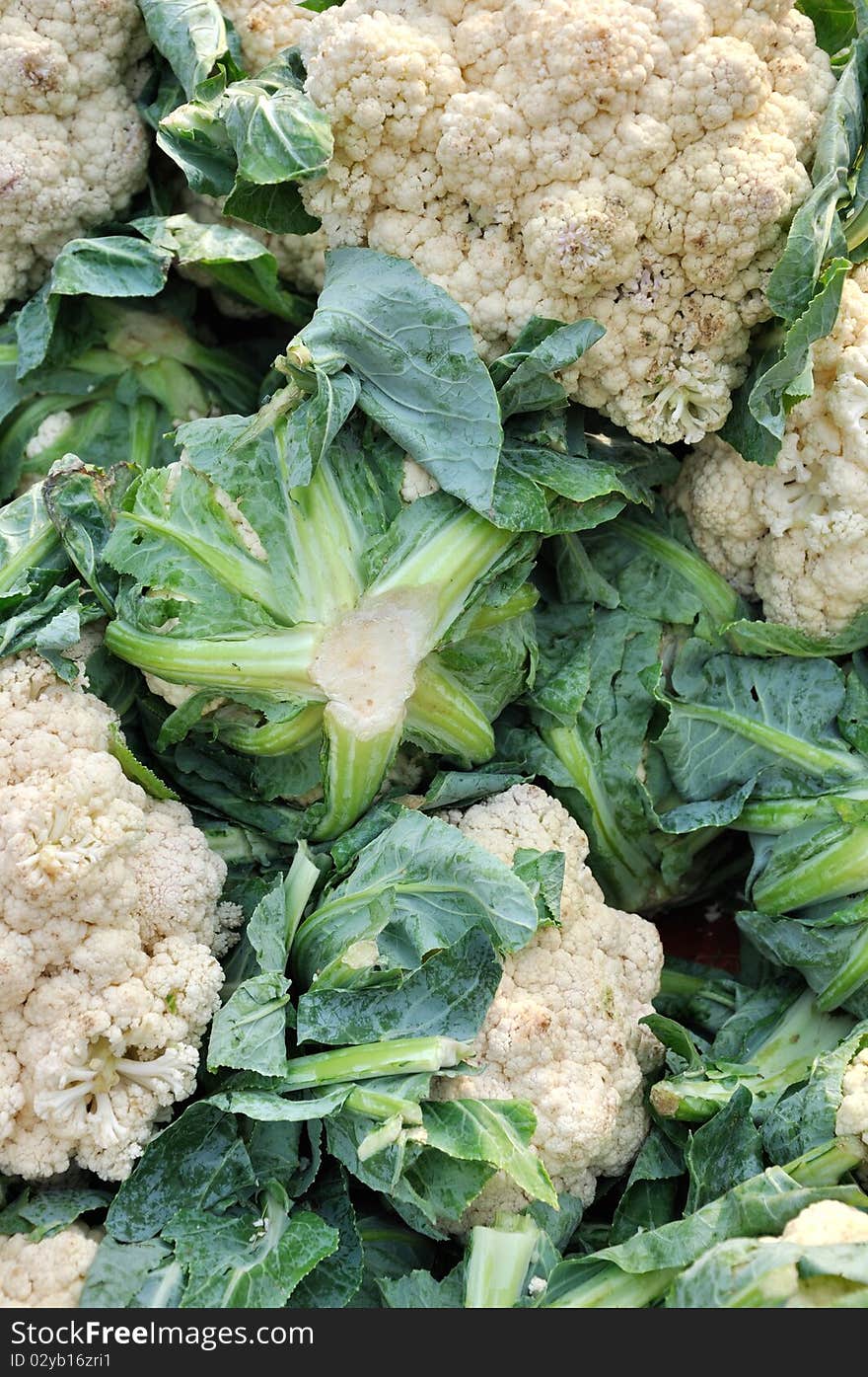 Raw cauliflower stacking for selling in super market, shown as original and fresh vegetable which is not disposed.