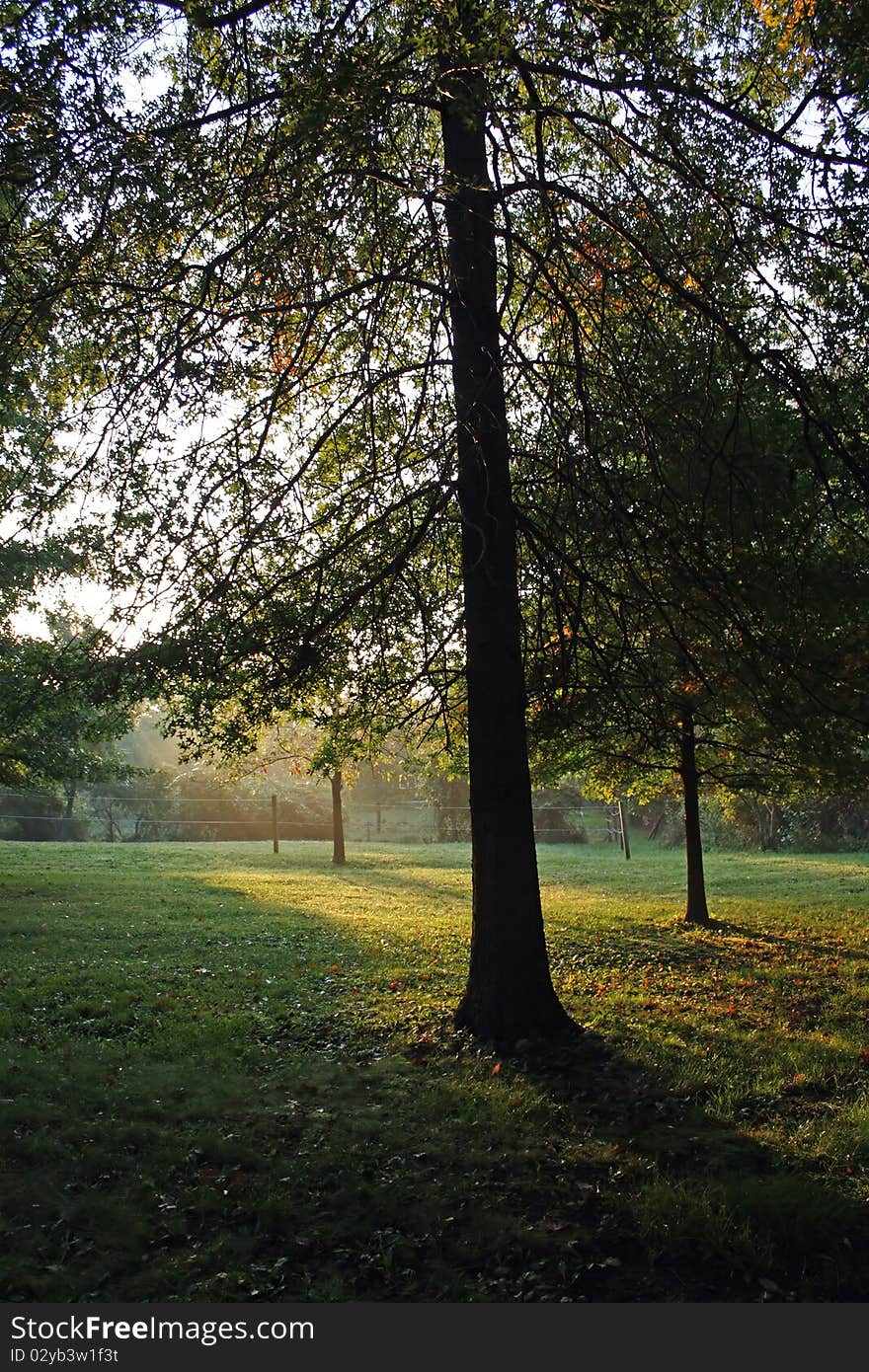 Early Fall morning looking across towards horse pastures