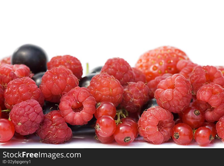 Garden Ripe Berries Isolated