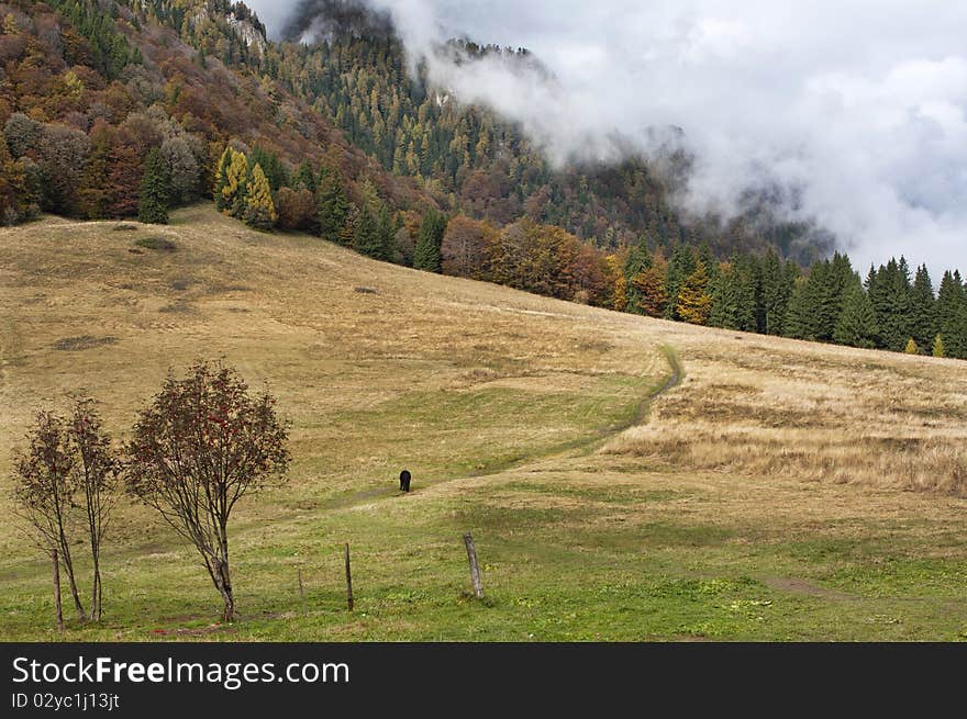 Autumn valley, photo taken in transylvania Romania