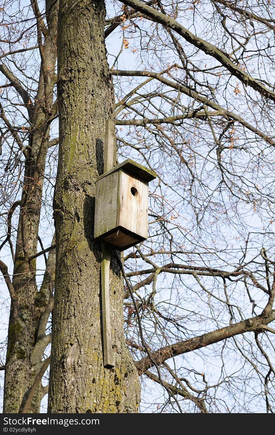 Wooden Birdhouse On Tree