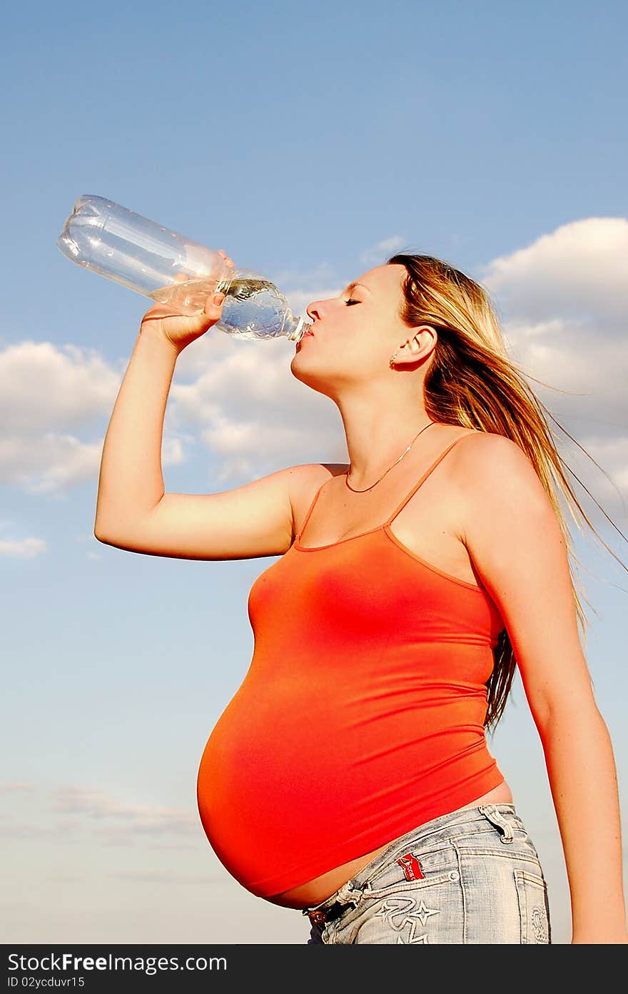 Beautiful, happy pregnant girl in nature. Beautiful, happy pregnant girl in nature