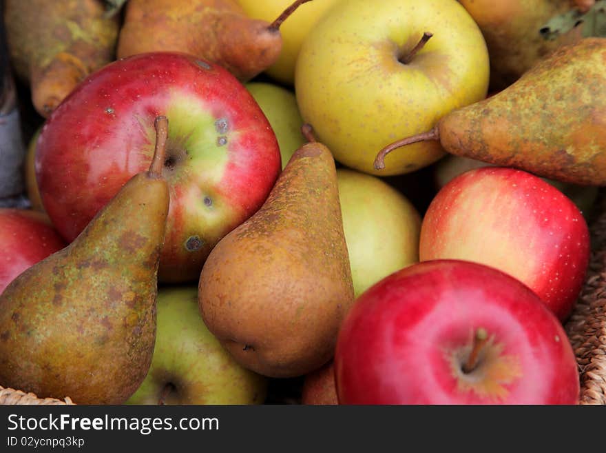 Pears and apples in the basket. Pears and apples in the basket