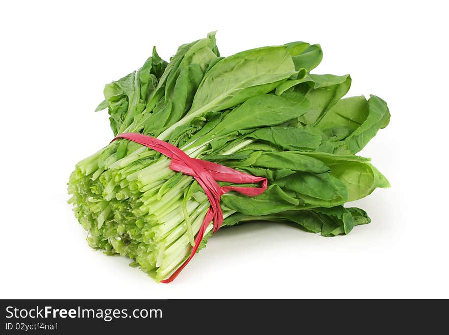 Green chinese cabbage