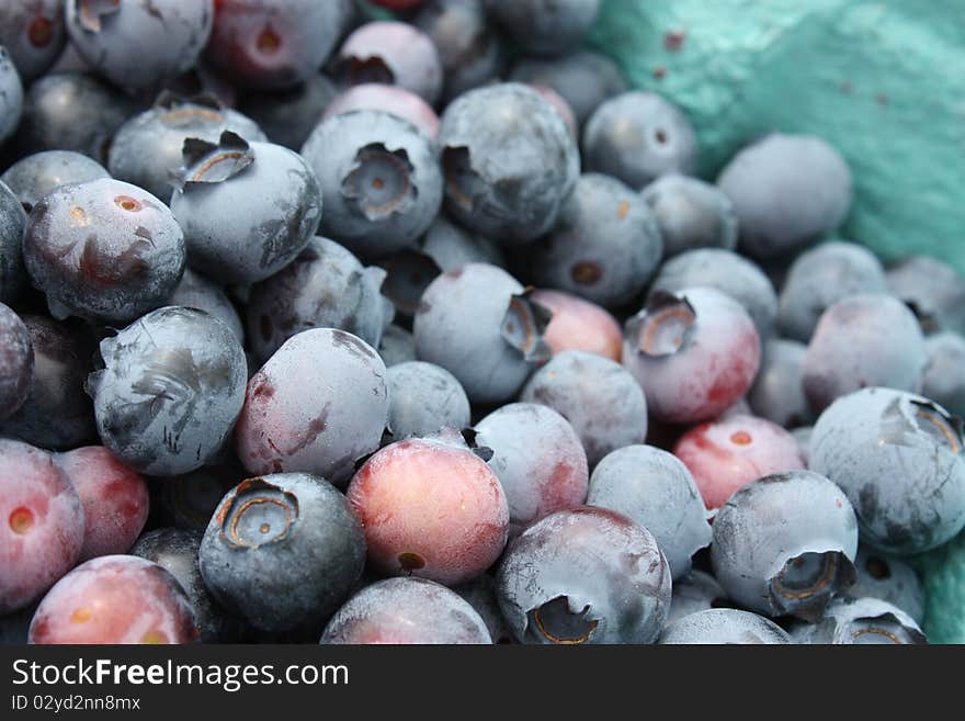 Fresh Blueberries