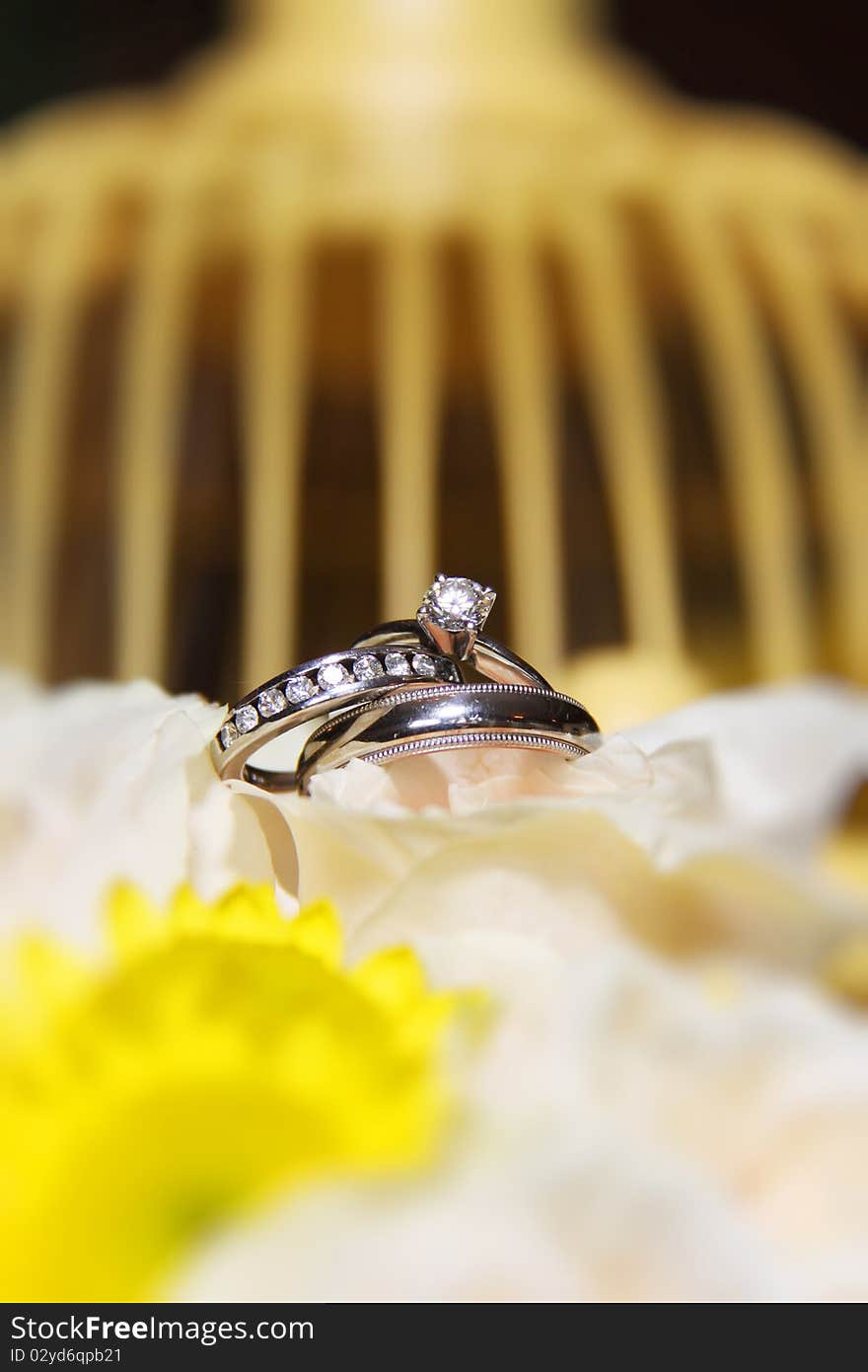 Wedding bands and engagement ring on flowers. Yellow bird cage in the background. Wedding bands and engagement ring on flowers. Yellow bird cage in the background.