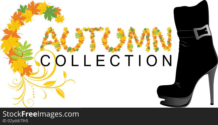 Elegant female shoe and maple leaves. Autumn collection. Illustration