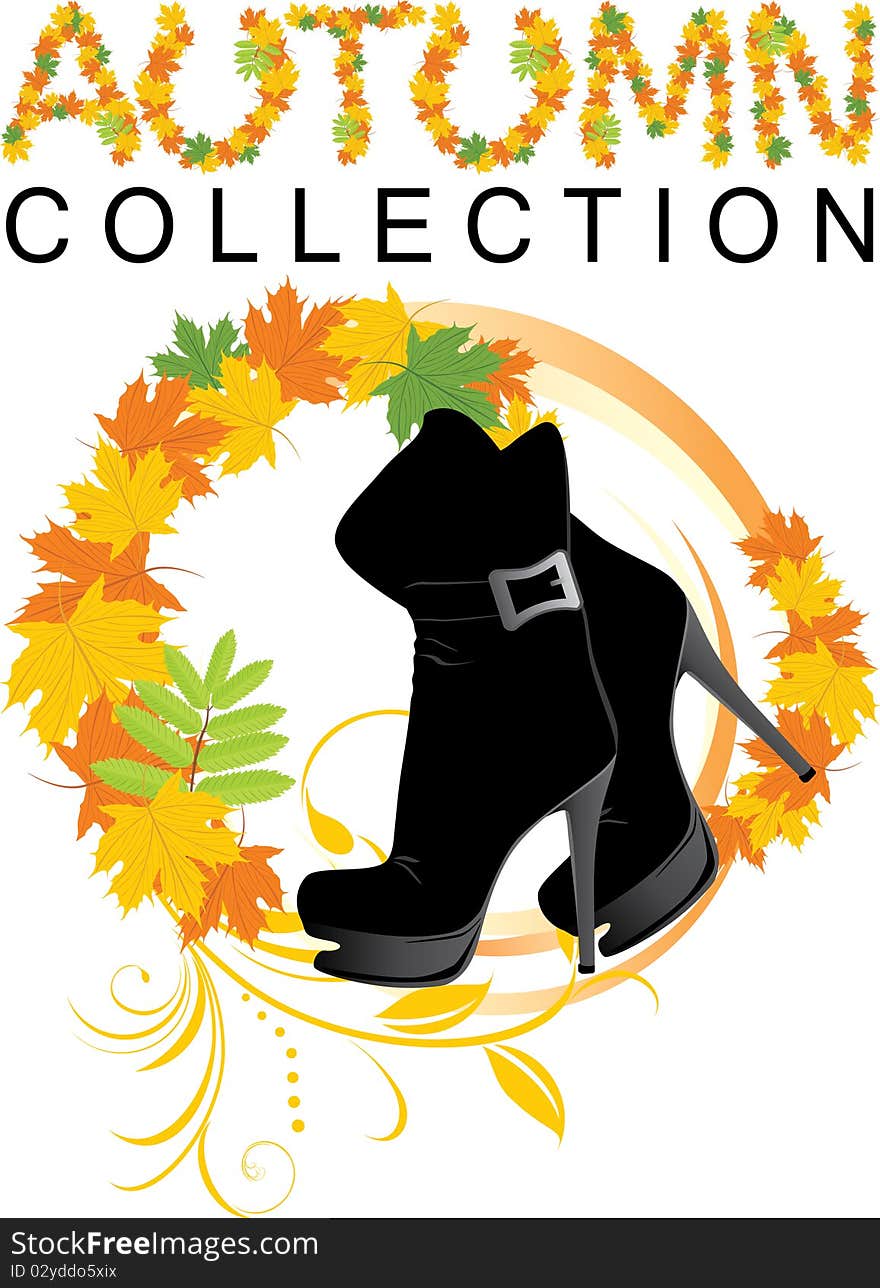 Elegant female shoes. Autumn collection. Illustration