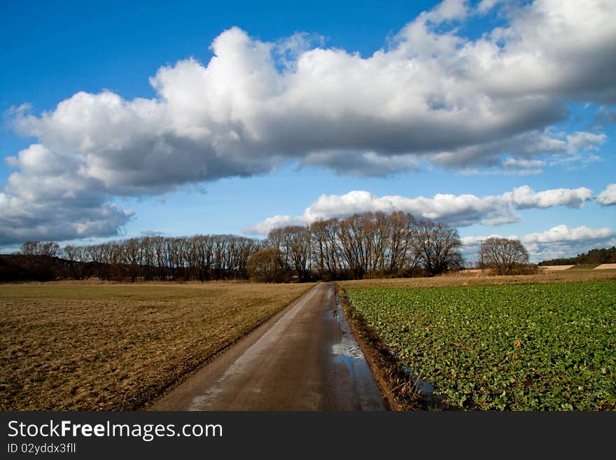 Autumn landscape with field and meadows