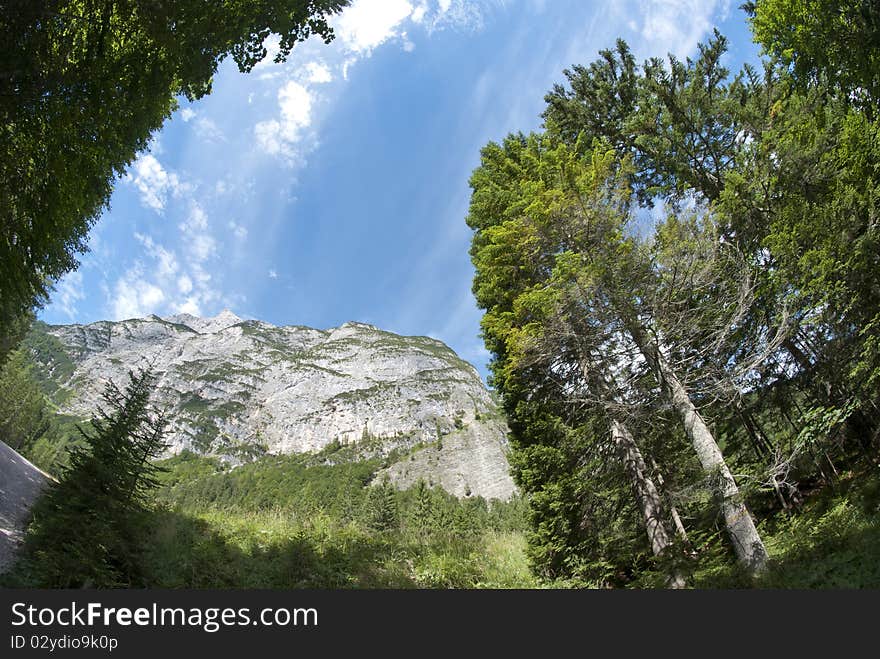 Colors of Dolomites Woods in Nothern Italy. Colors of Dolomites Woods in Nothern Italy