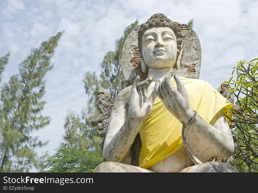 Buddha statue under blue sky and tree