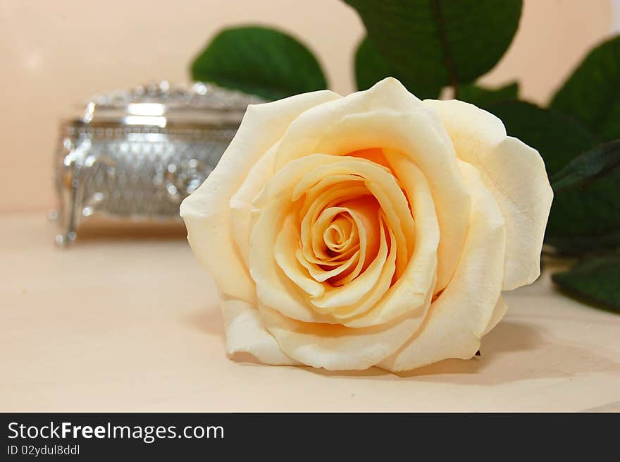 Jewelry box with white rose