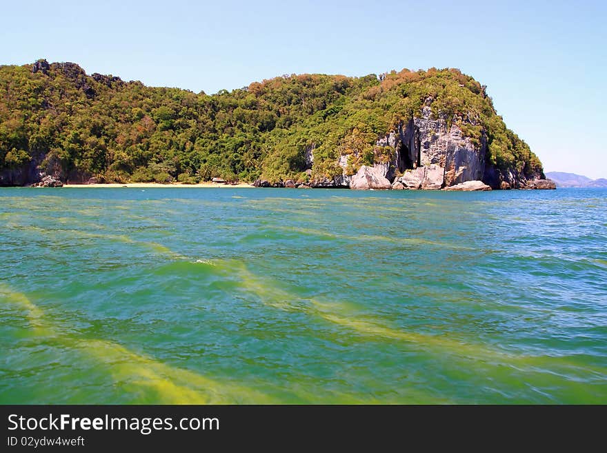 Red Tide Sea Pollution cause from global Warming