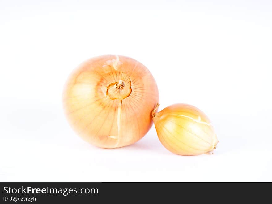 Onion