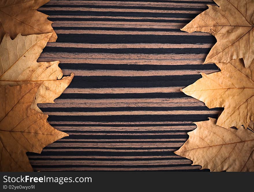 Autumn background with leafs and wood