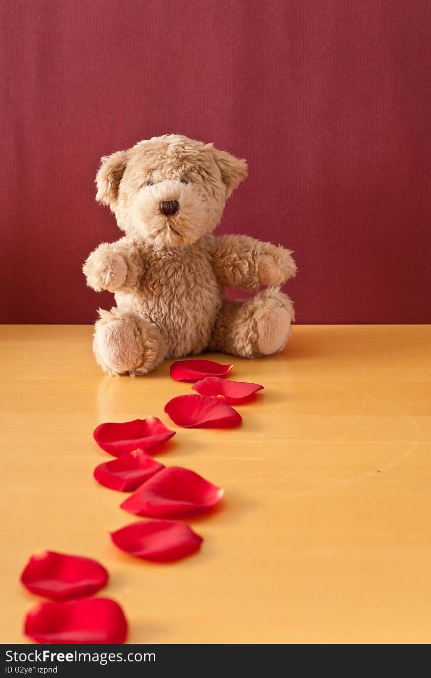 Trail of Rose Petals Leading to Cute Teddy Bear. Trail of Rose Petals Leading to Cute Teddy Bear