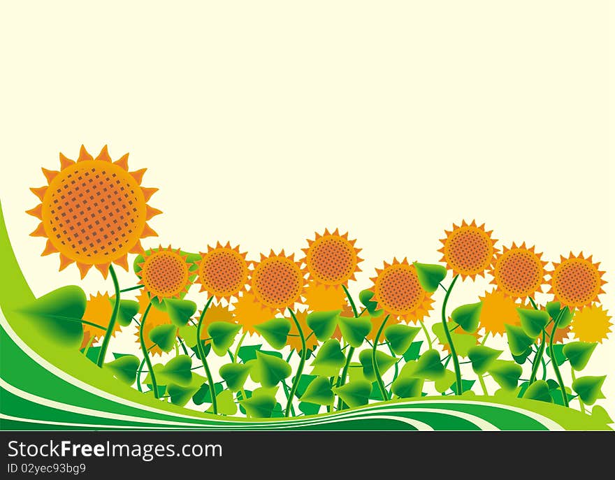 Pattern of flowers of sunflower on the yellow background. Pattern of flowers of sunflower on the yellow background