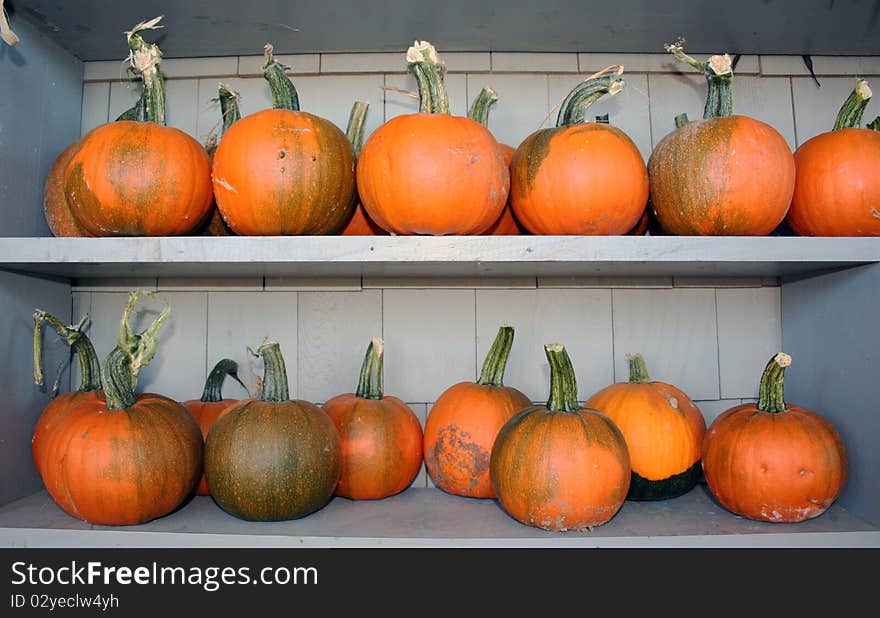 Pumpkins on shelves