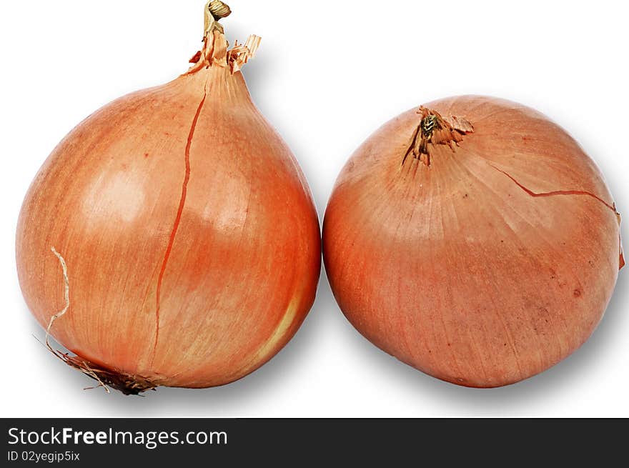 Couple Of Onions