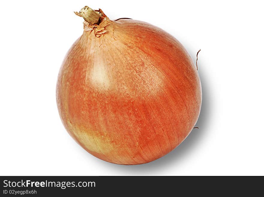 Gold fresh onion isolated over white background