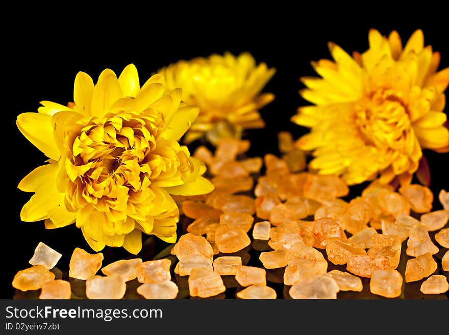 Dried flowers.