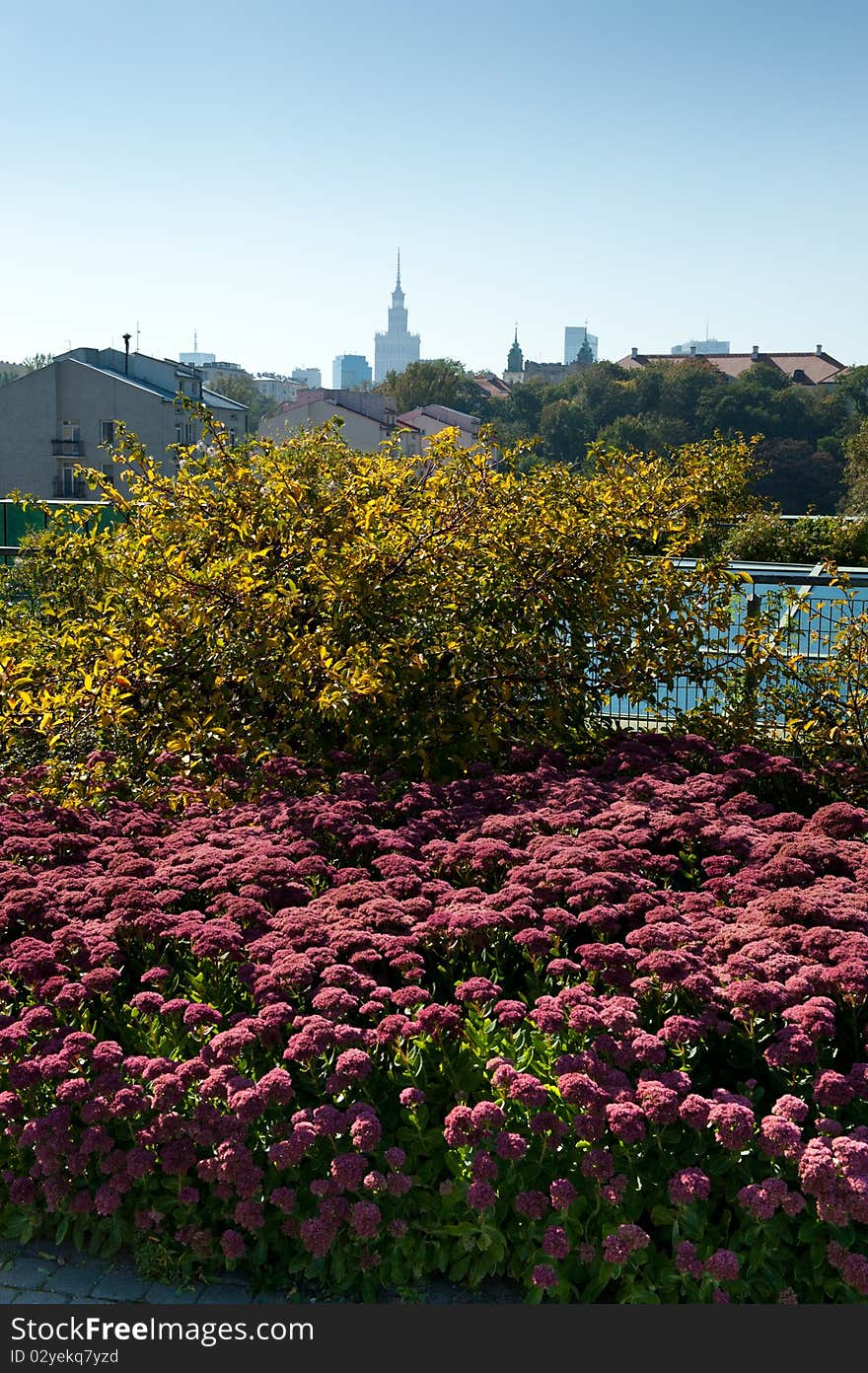 Panorama of Warsaw City with flowers and Palace of Culture, Poland. Panorama of Warsaw City with flowers and Palace of Culture, Poland