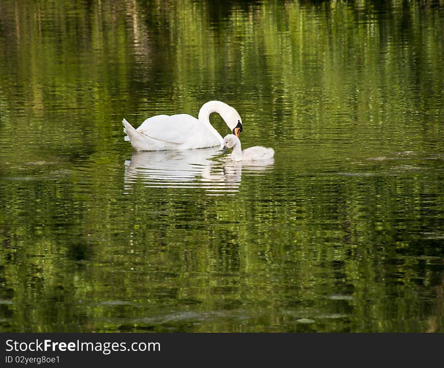 Mother and Child