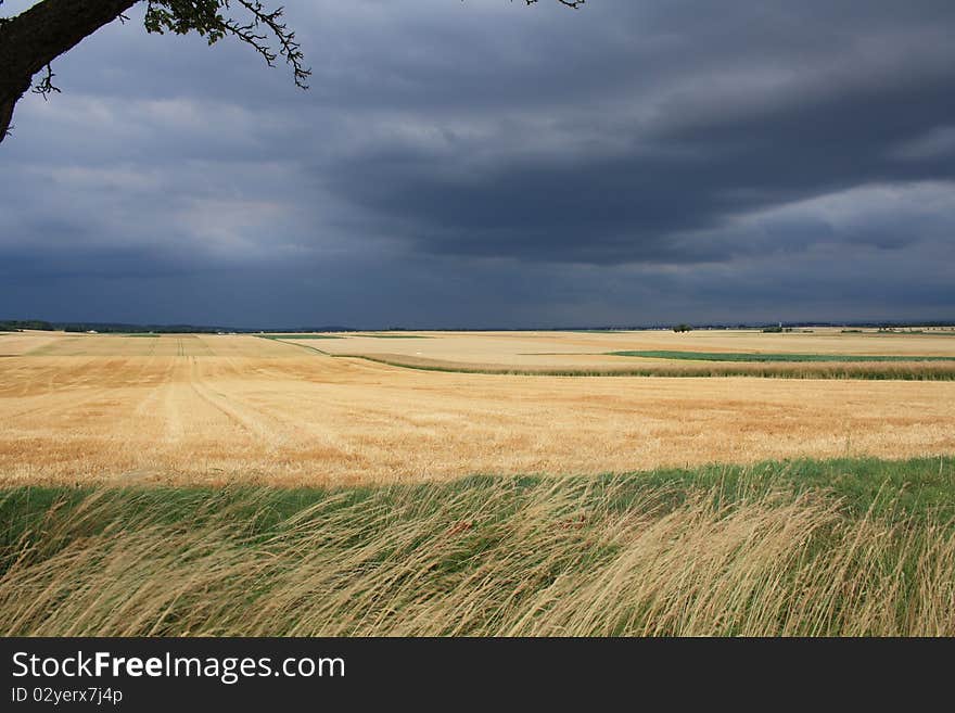 Autumn landscape dramatically under cloudy skies