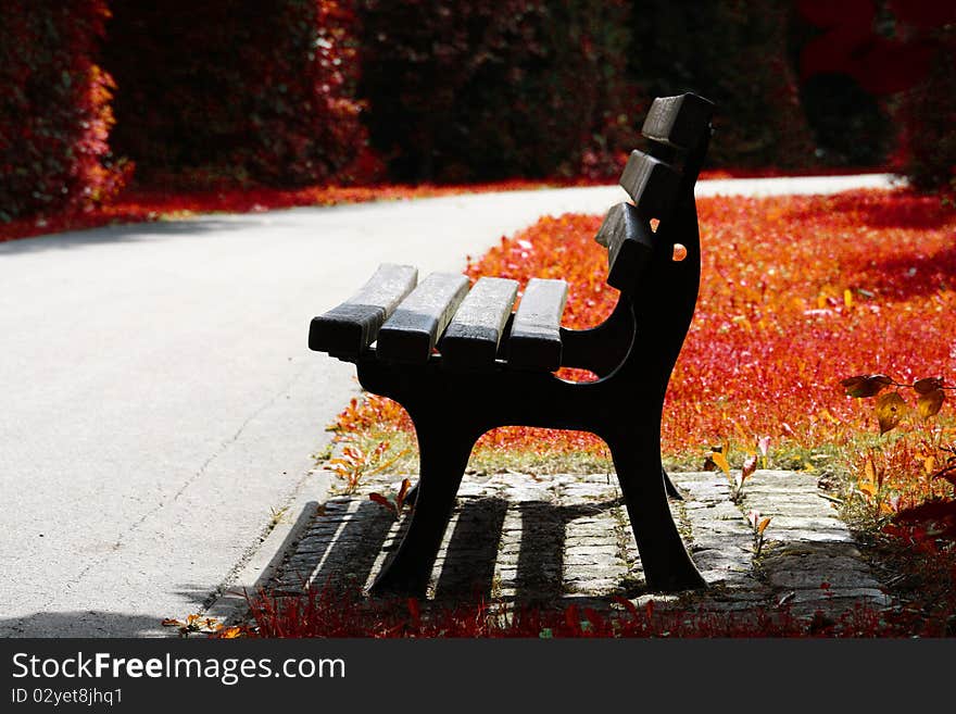 Bench in the park on sunny day. Bench in the park on sunny day