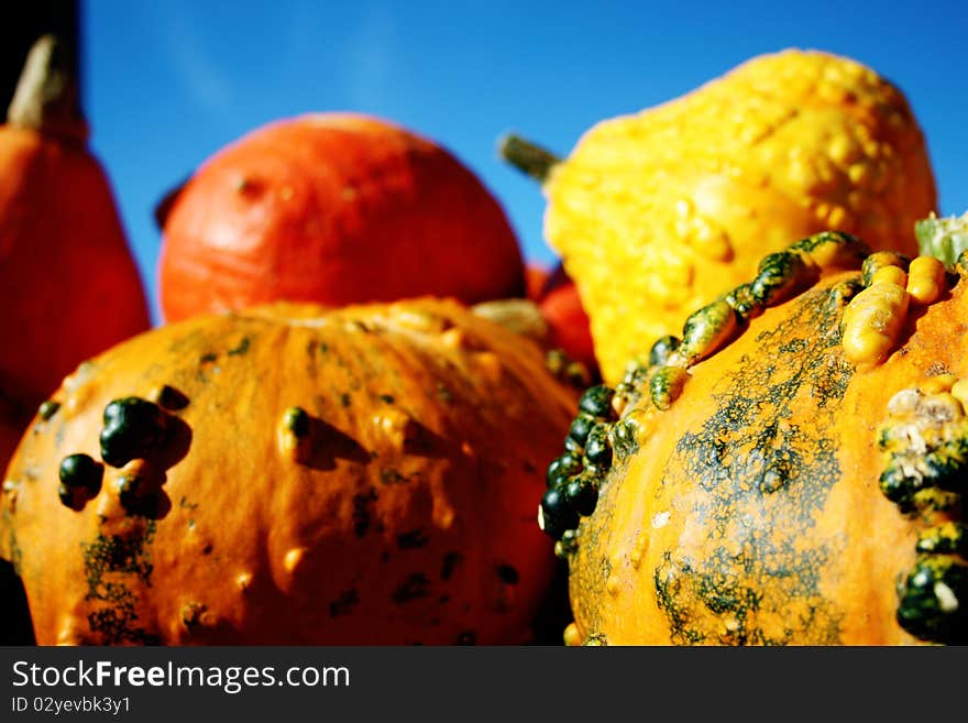 Pretty different types of pumpkins for sale. Pretty different types of pumpkins for sale