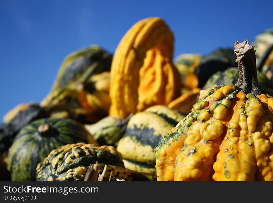 Pretty different types of pumpkins for sale. Pretty different types of pumpkins for sale