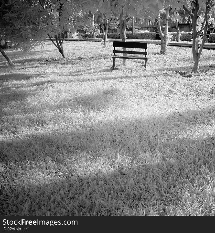 Sunshine day in the park. Sunshine day in the park.