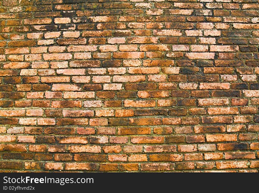 The green and black moss grow and cover old bricks on the wall.