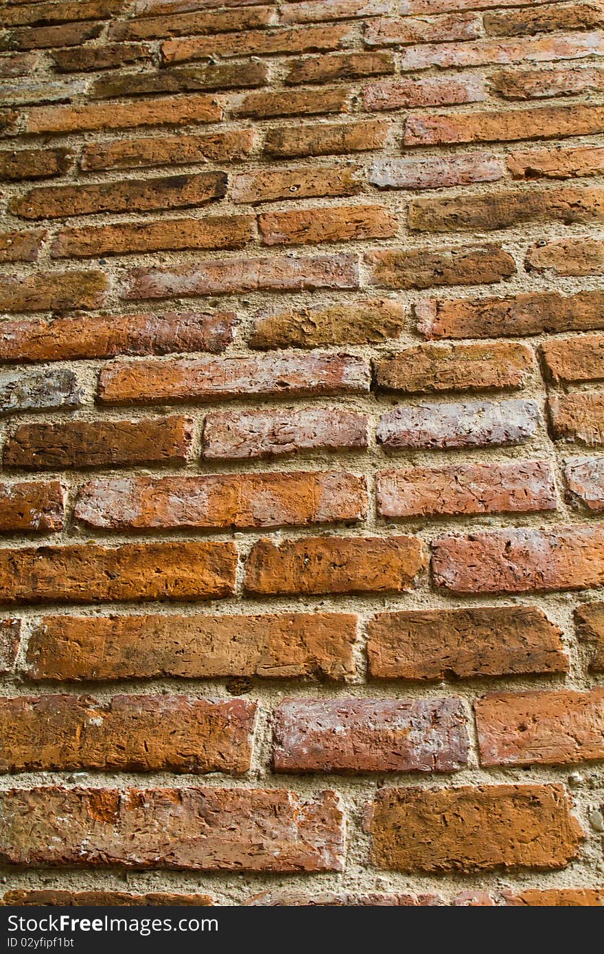 The green and black moss grow and cover old bricks on the wall.