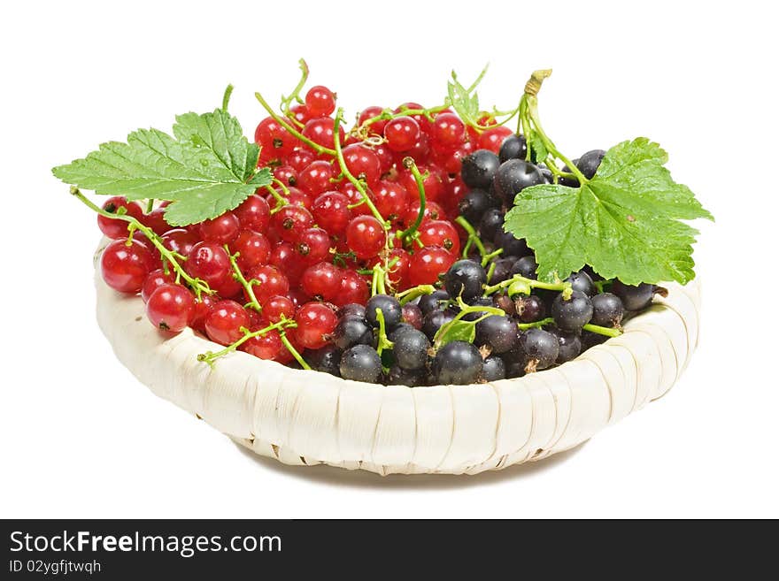 Black and red currants