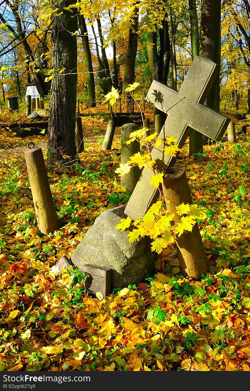 The cross in a old cemetery in autumn