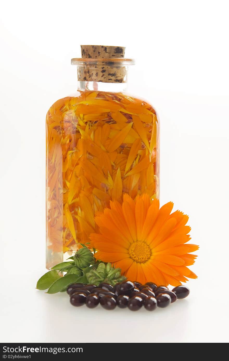 Flower marigold medical and bottle with petal,on white background. Flower marigold medical and bottle with petal,on white background.