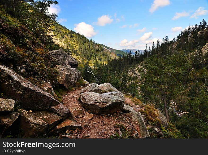 Mountain path in valley in the national park Krkonose