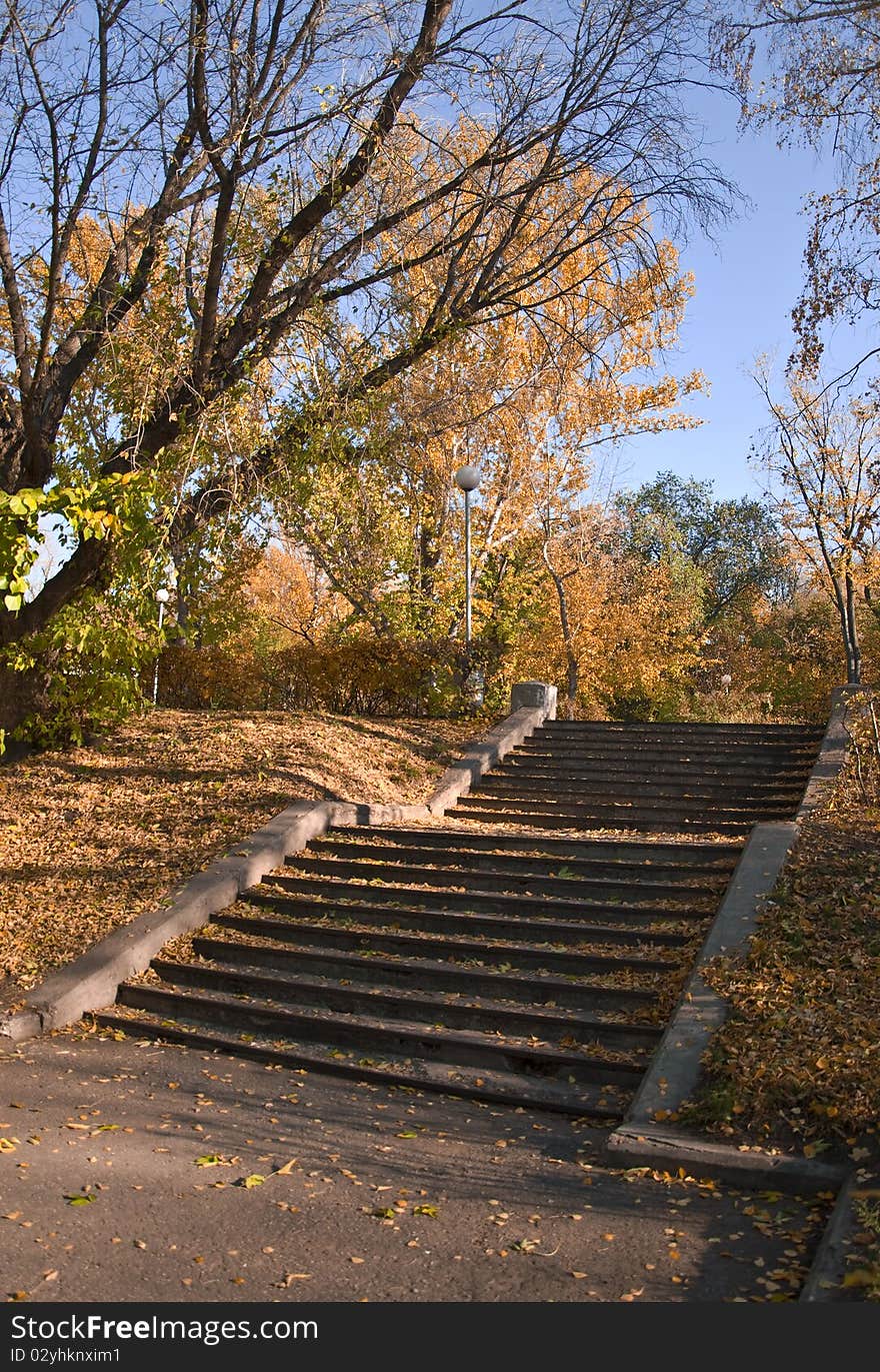 Stairs in a park in the fall. Falling leaves cover the ground. Against the blue sky. Autumn landscape