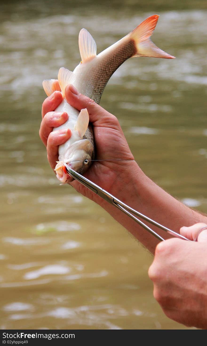 Fieherman with fish in hand, fish with opened mouth. Fieherman with fish in hand, fish with opened mouth