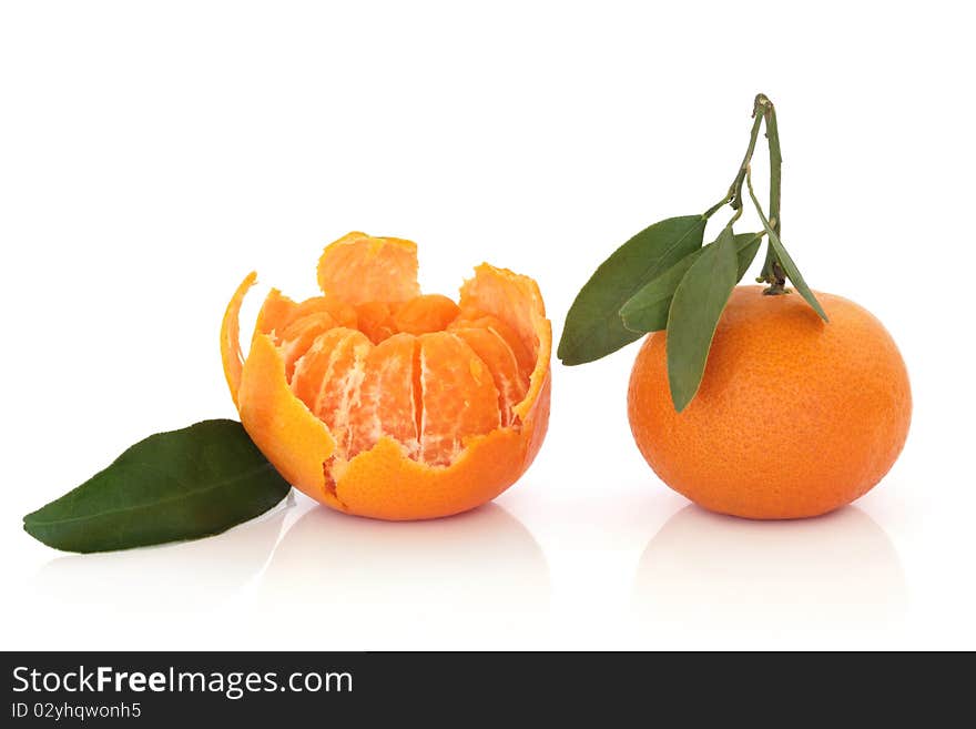 Tangerine Fruit with Leaf Sprig