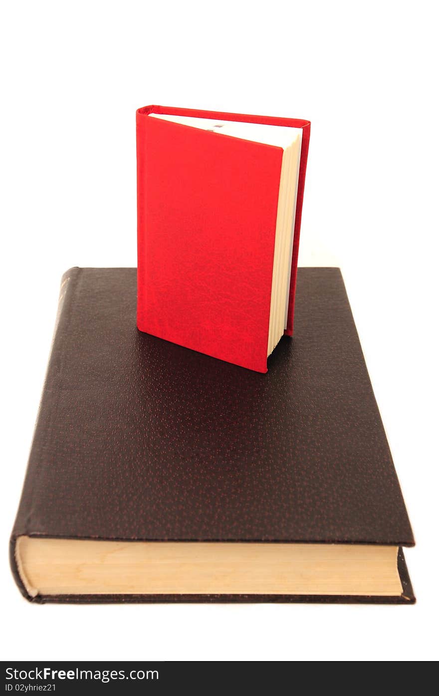 Large and small book isolated on the white