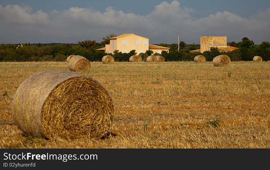 Majorcan Agriculture