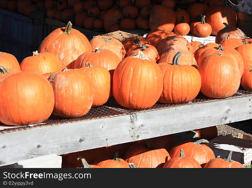 Pumpkins for sale at a market stand