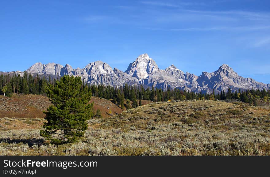 Grand Tetons