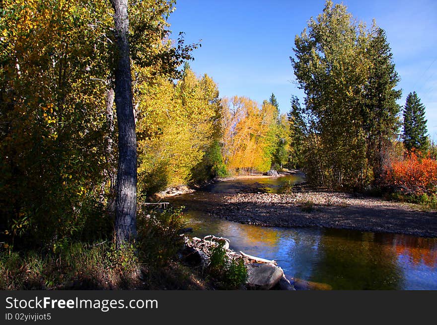 Beautiful stream in a forest in autumn time. Beautiful stream in a forest in autumn time