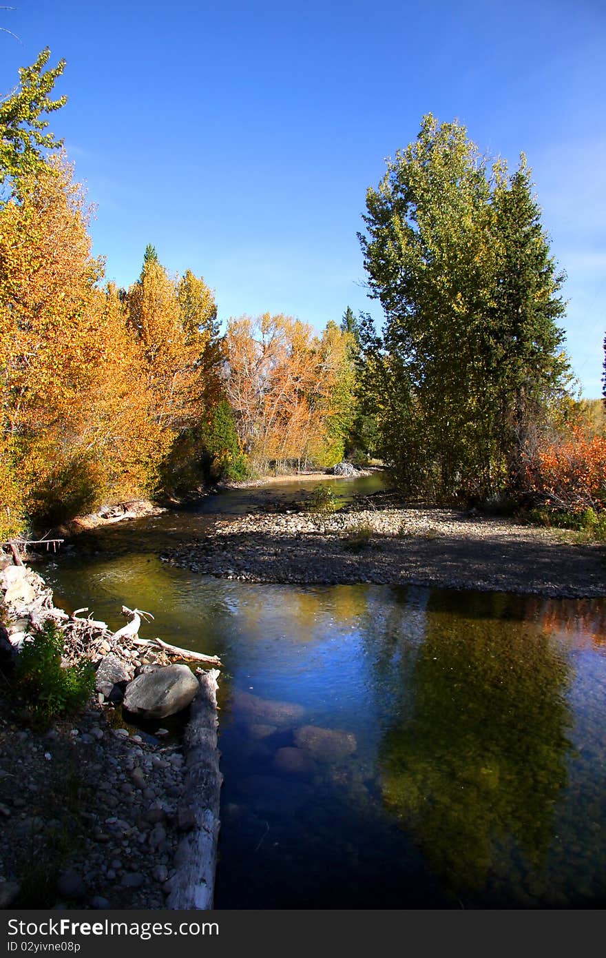 Beautiful stream in a forest in autumn time. Beautiful stream in a forest in autumn time